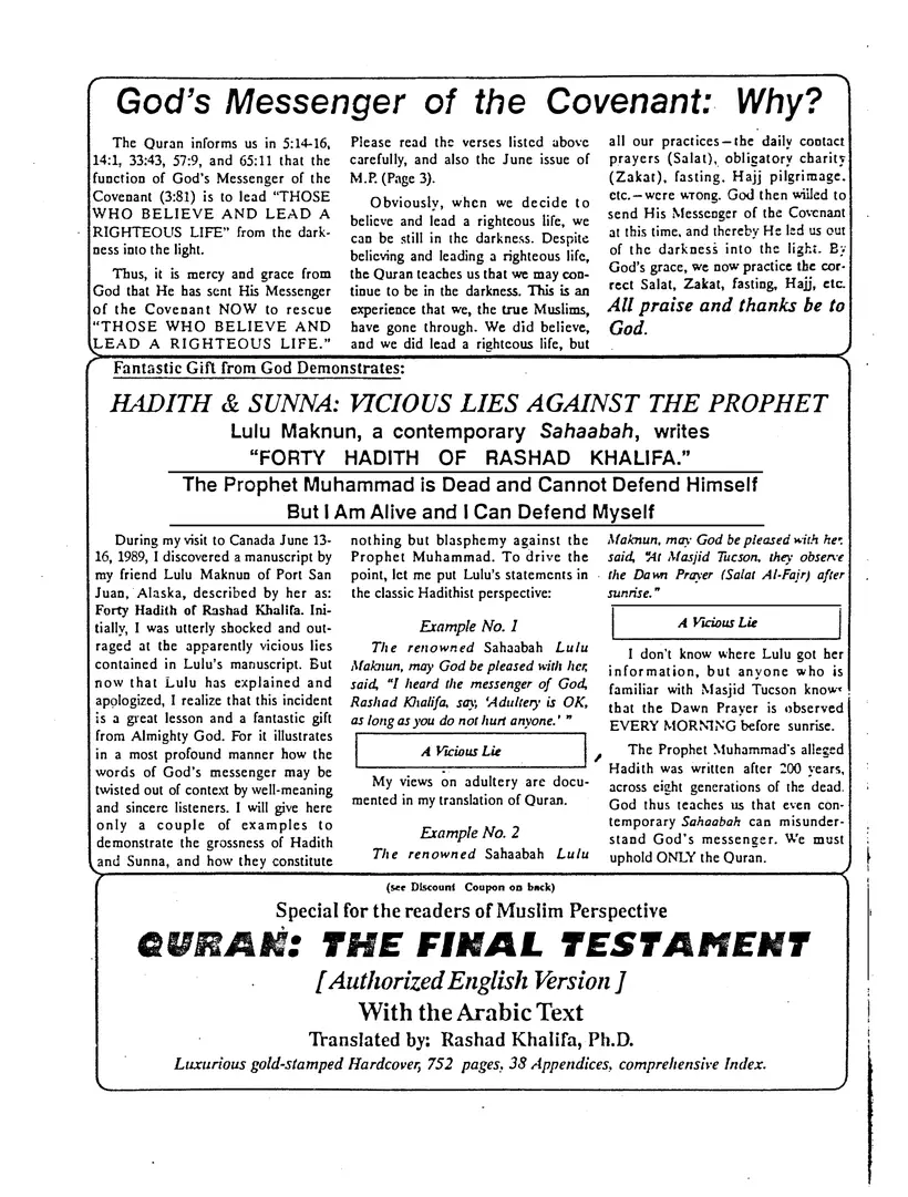 Submitter's Perspective, July 1989, page 3 of 4
